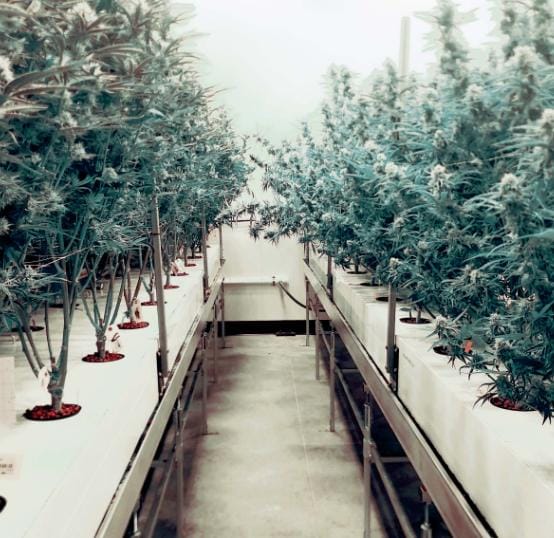 Aeroponic and Hydroponic Grow Boxes