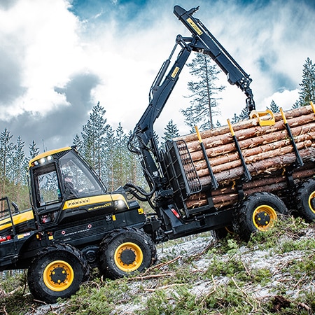 Forestry Industry
